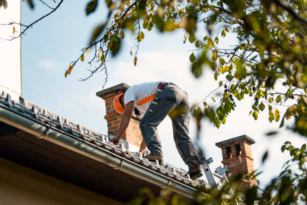 Best Roof Gutter Cleaning  in North Liberty, IA