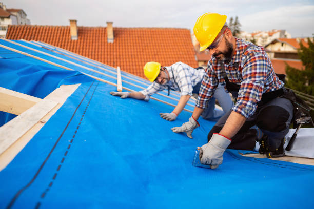 Best Roof Gutter Cleaning  in North Liberty, IA